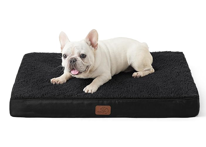 adorabledoodlesofvirginia.com_Bedsure Dog Bed for Medium Dogs - Orthopedic Waterproof Puppy Beds with Removable Washable Cover, Egg Crate Foam Pet Mat, Suitable for Pet Up to 35 lbs