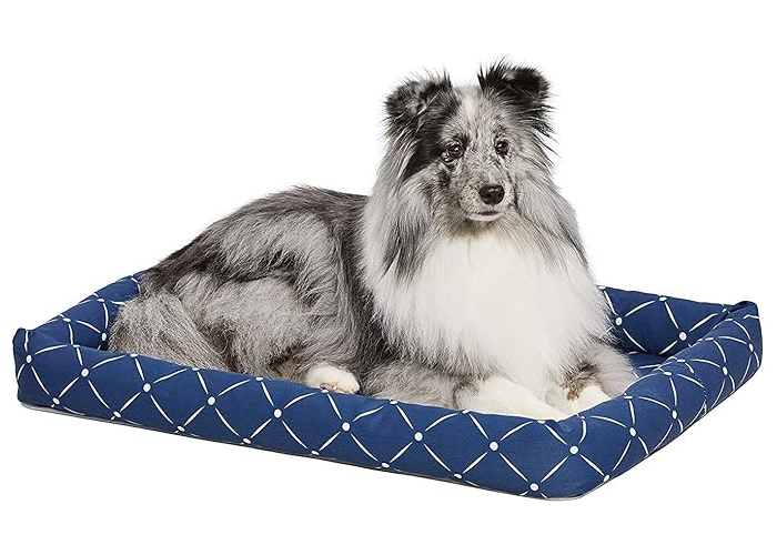 adorabledoodlesofvirginia.com_Midwest Homes for Pets 40230-BLD Quiet Time Couture Ashton Bolster Pet Bed, Medium Dog_30, Blue