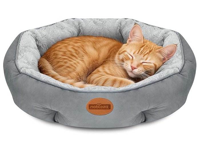 adorabledoodlesofvirginia.com_Nobleza Dog Beds for Small Dogs